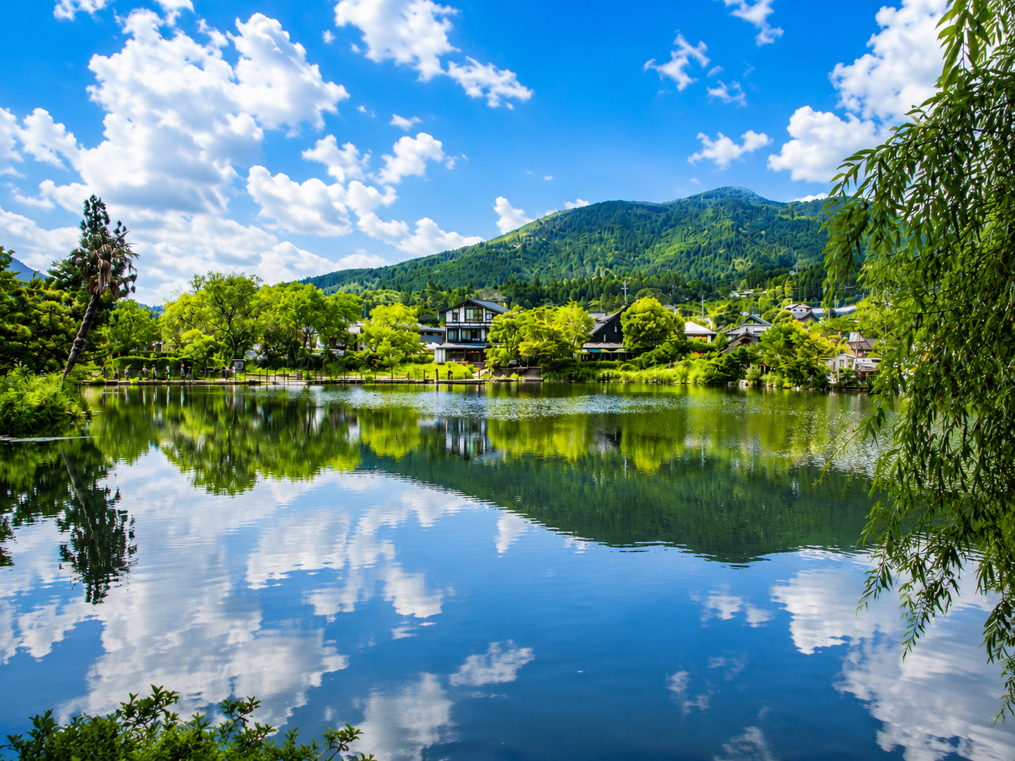 由布院 金鱗湖